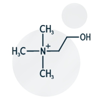 Choline