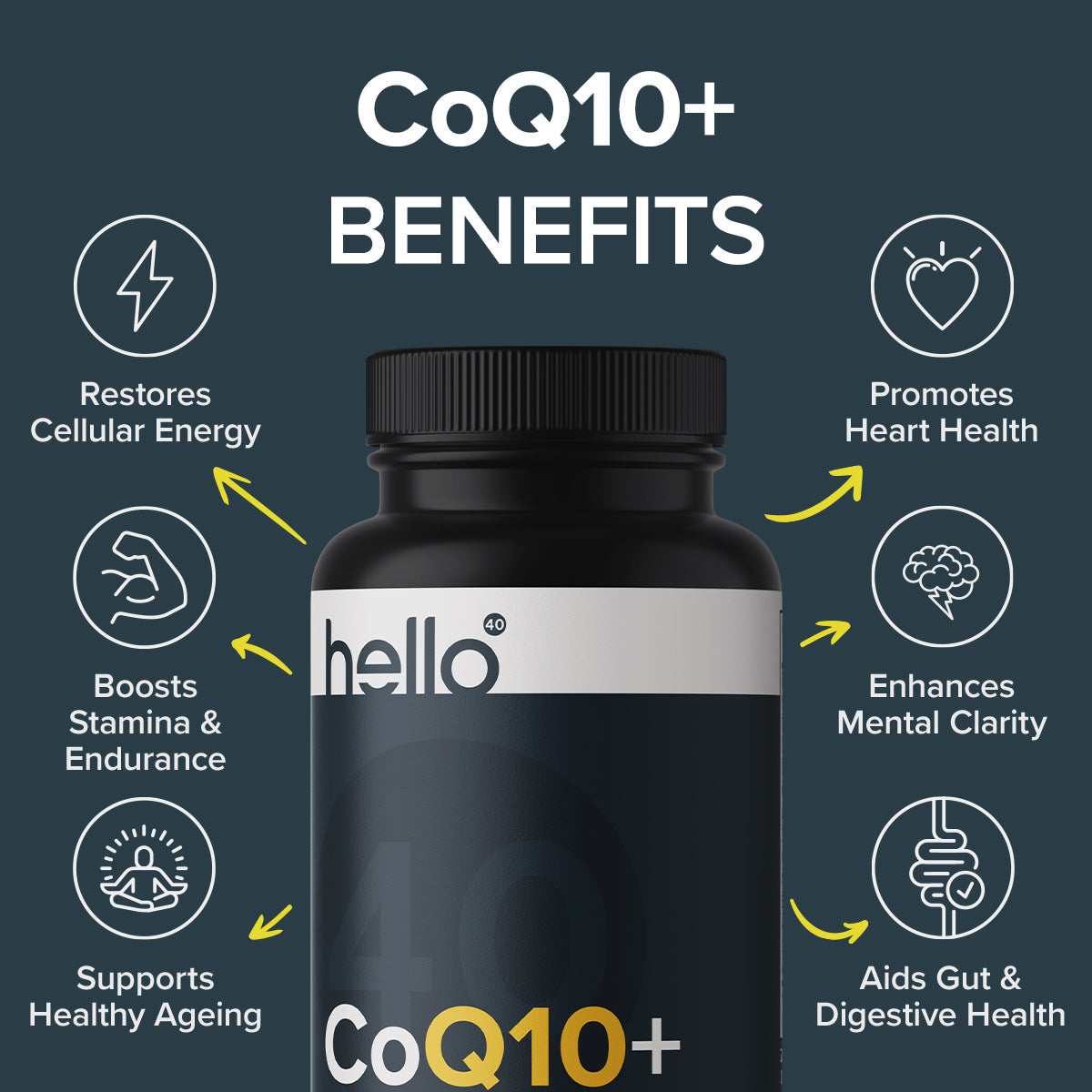 CoQ10+