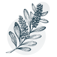 Acacia Fiber (fibregum™)