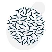 ActiBio-BC™ (Probiotic Complex)