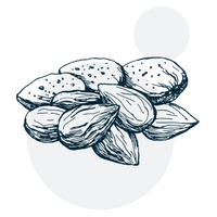 Vitamin E (DL-Alpha Tocopheryl Acetate)